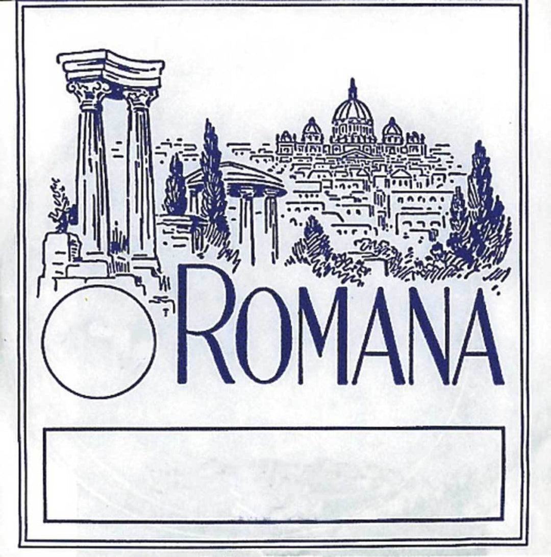 Romana Fiolersträngar - G tarm