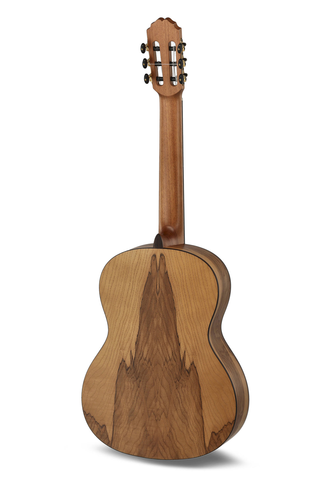 Caballero by MR Principio Series P Olive CA-PMO 120 - oliv (CA-PMO 120)