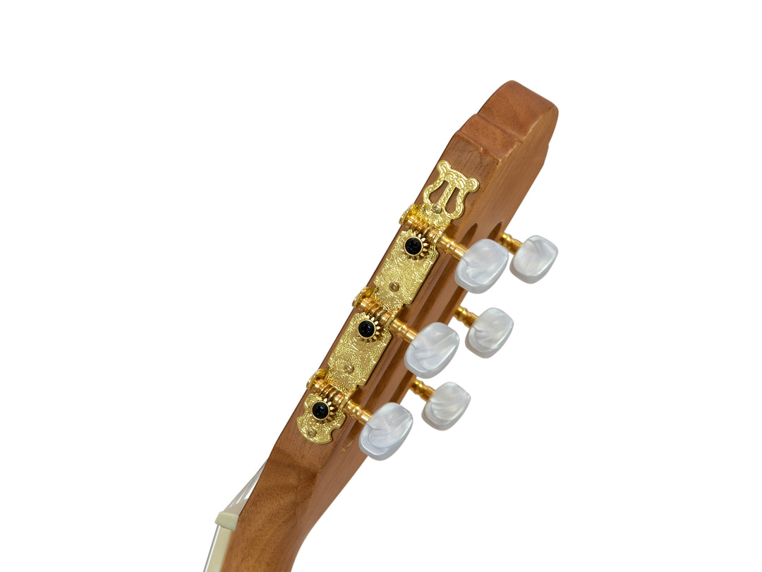 DiMavery CN-300 klassisk gitarr, mahogny
