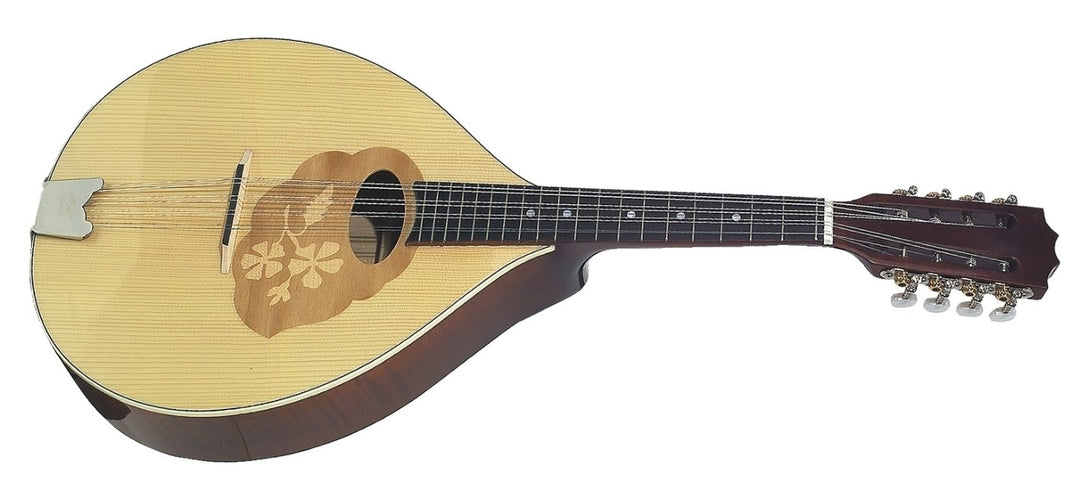GEWA Mandola Pro Arte - Högblank