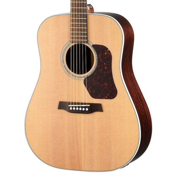 Walden D800EW Western gitarr (naturlig)