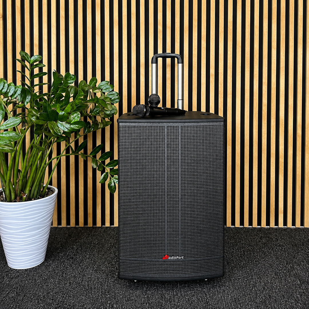 Audioport V15 transportabel Aktiv högtalare 500 W med 2 mikrofoner