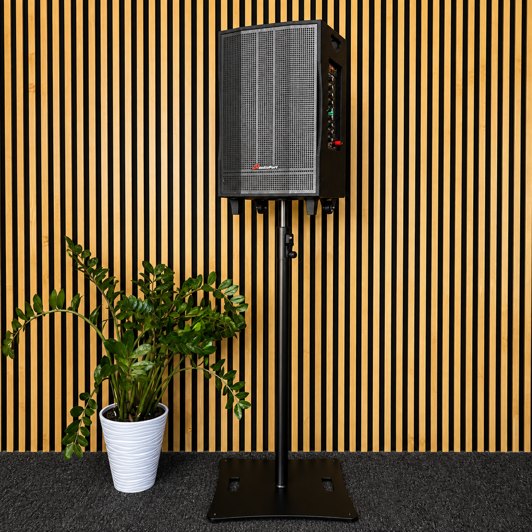 Audioport V15 transportabel Aktiv högtalare 500 W med 2 mikrofoner