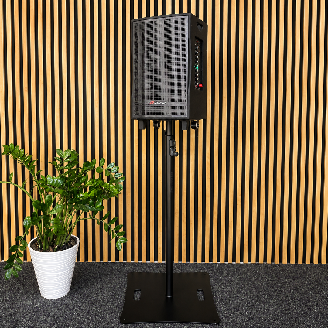 Audioport V12 transportabel aktiv högtalare 350 W med 2 mikrofoner