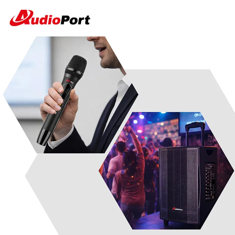Audioport V12 transportabel aktiv högtalare 350 W med 2 mikrofoner