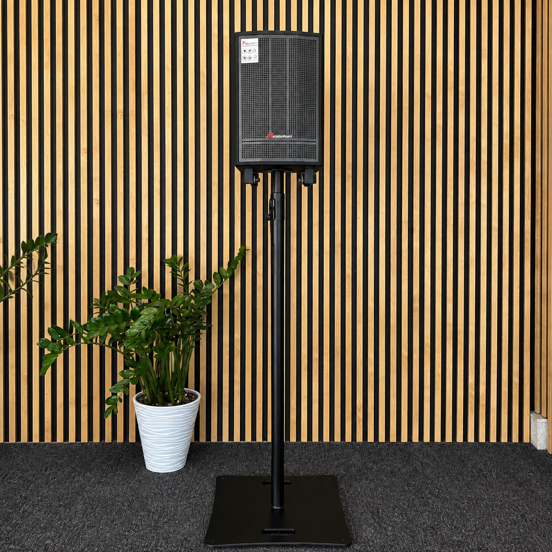 Audioport V8 transportabel aktiv högtalare 250 W med 2 mikrofoner