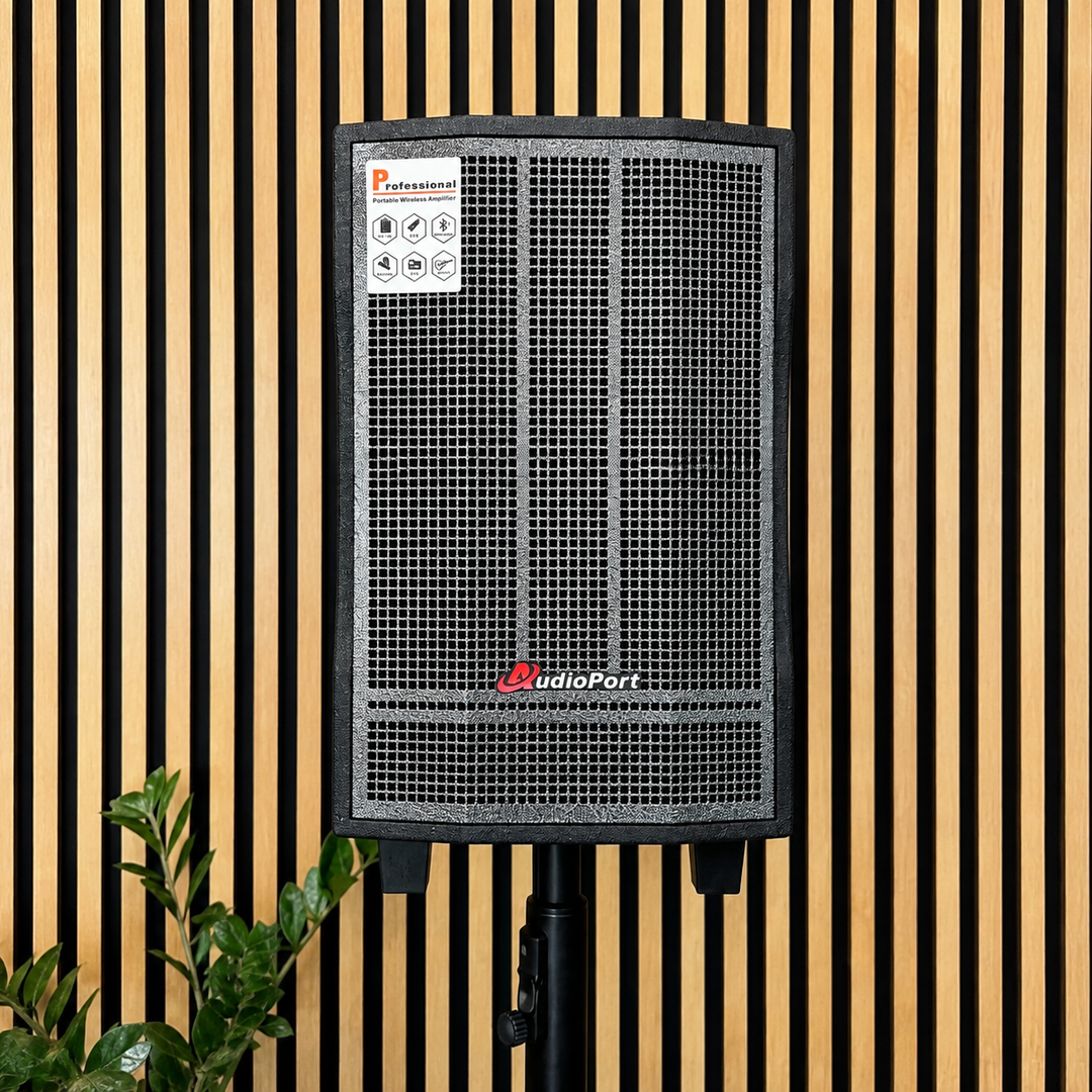 Audioport V8 transportabel aktiv högtalare 250 W med 2 mikrofoner