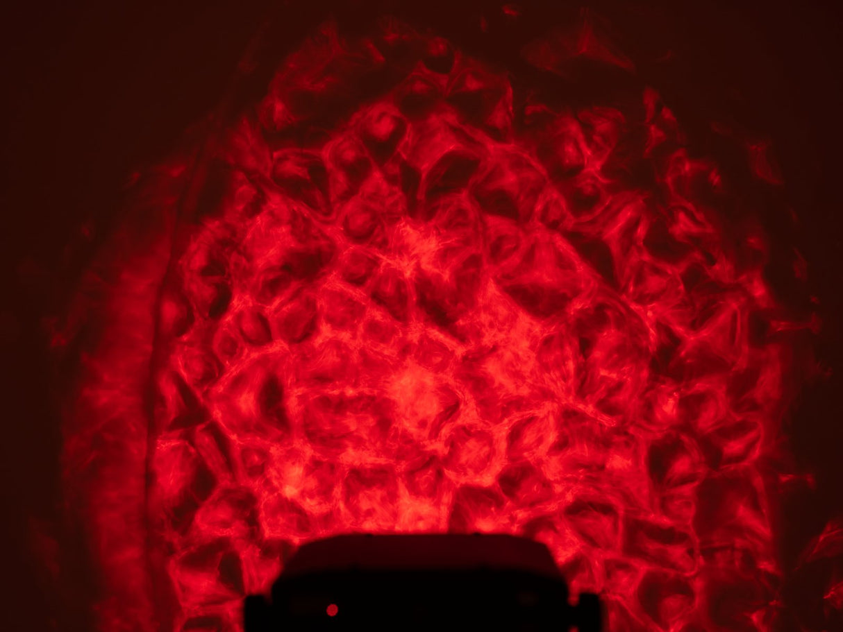 Eurolite WF-30 H2O-effekt (DMX)