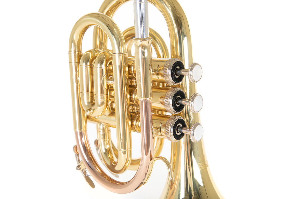 Roy Benson Bb-ficktrumpet Roy Benson PT-101 - PT-101