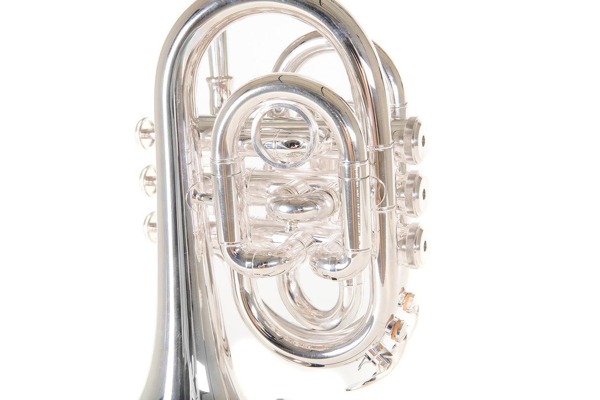 Roy Benson Bb-ficktrumpet Roy Benson PT-101S - PT-101S