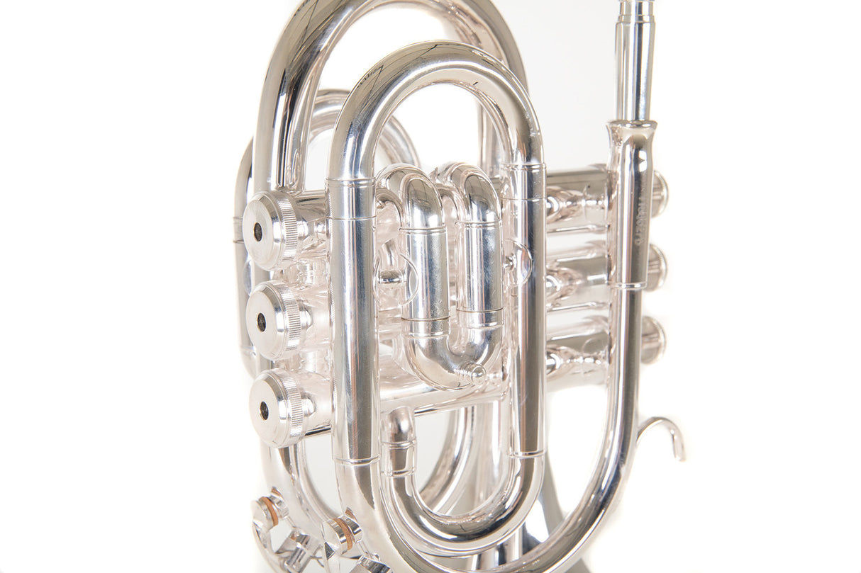 Roy Benson Bb-ficktrumpet Roy Benson PT-101S - PT-101S