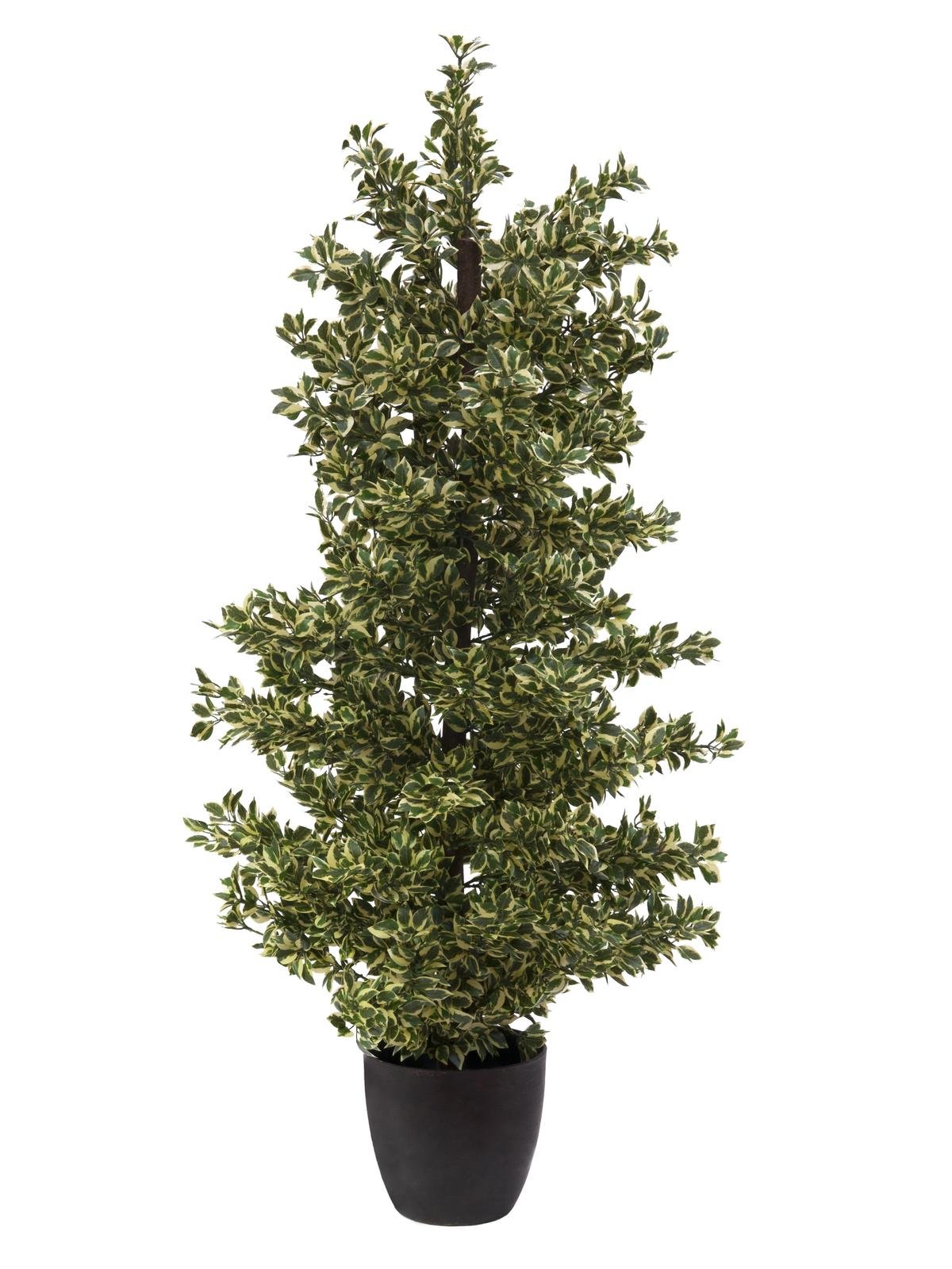 Artificiell Woodficus Silverleaf, 120 cm.