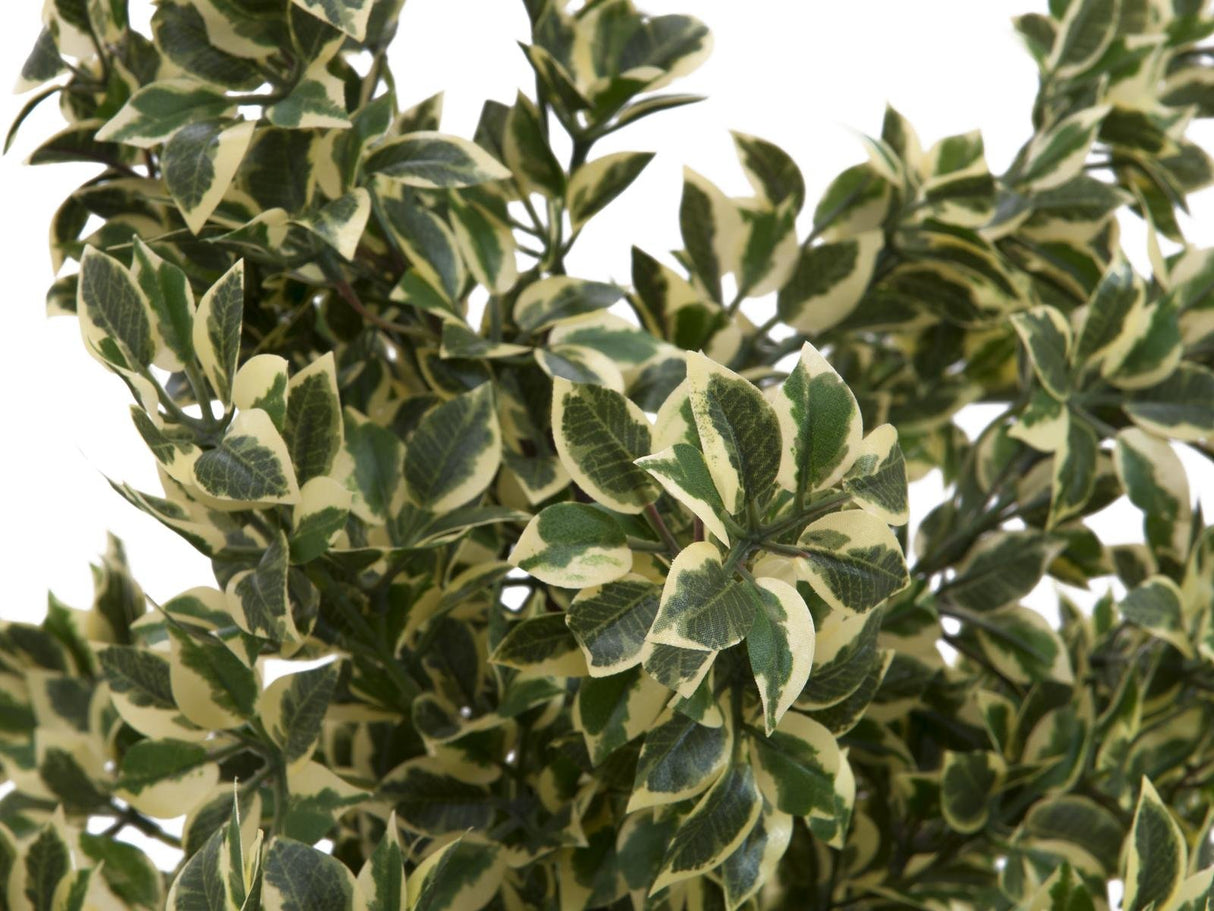 Artificiell Woodficus Silverleaf, 120 cm.