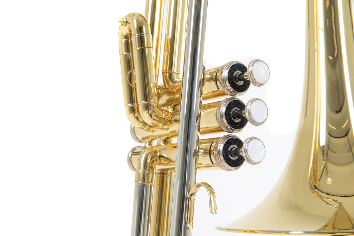Roy Benson Bb-ventil Trombon Roy Benson VT-227 - VT-227