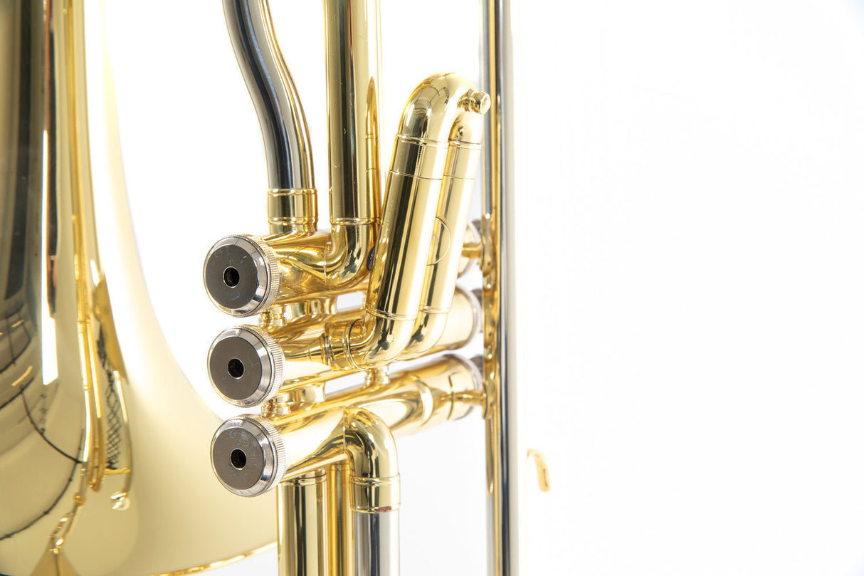 Roy Benson Bb-ventil Trombon Roy Benson VT-227 - VT-227