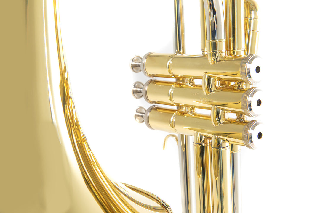 Roy Benson Bb-ventil Trombon Roy Benson VT-227 - VT-227