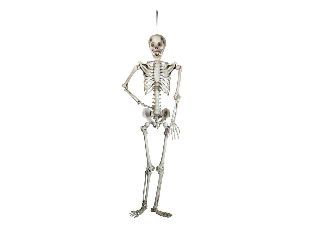 Halloween-skelet, hængende, hvidt, 150 cm
