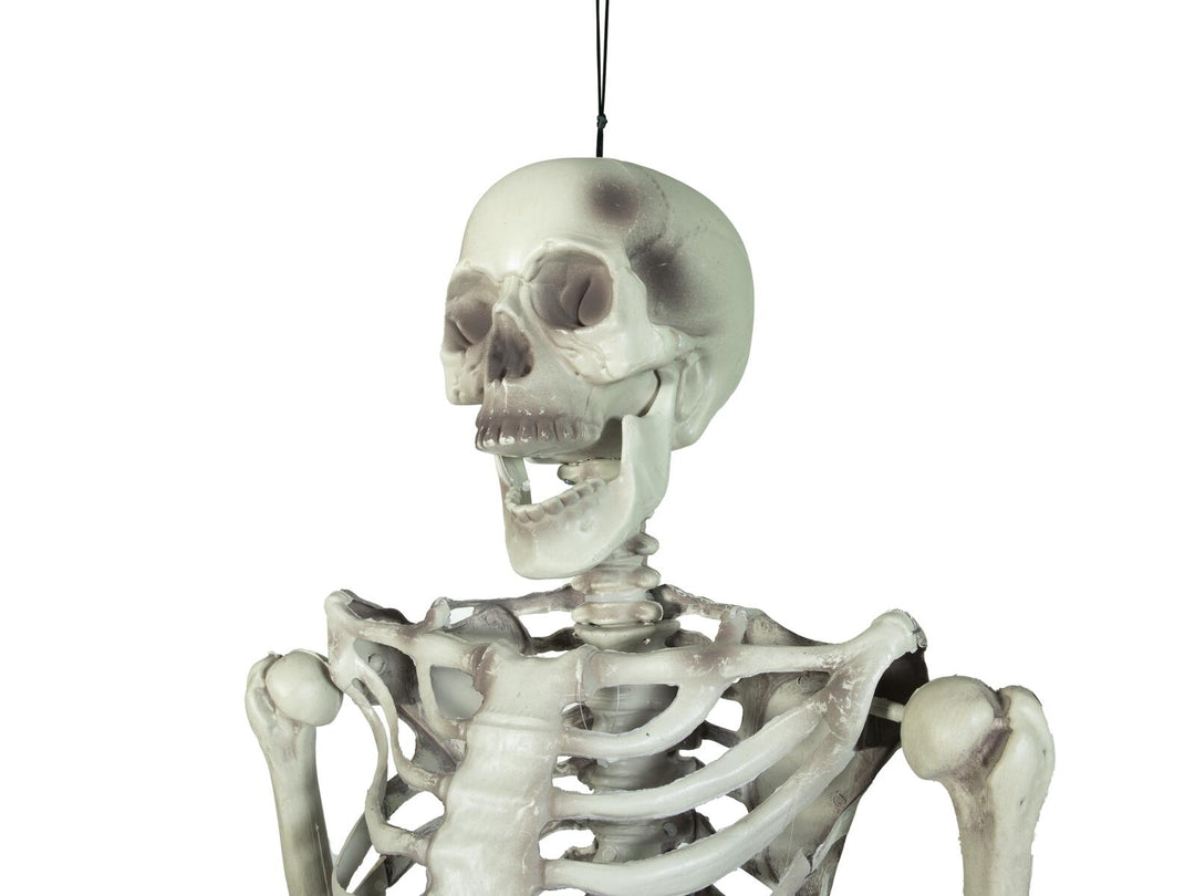 Halloween-skelet, hængende, hvidt, 150 cm