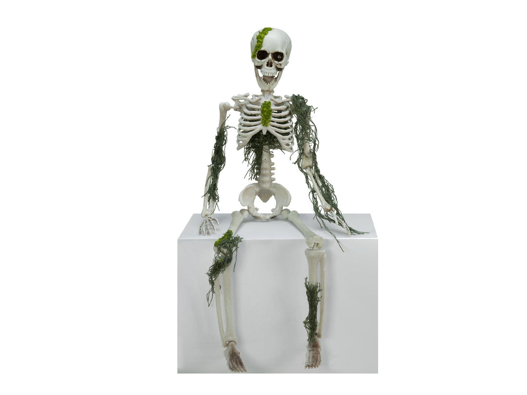 Halloween-skelet med mos, 40 cm