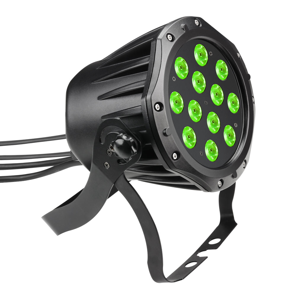 Cameo utomhus PAR-lampa RGB IP65 (12x3W)