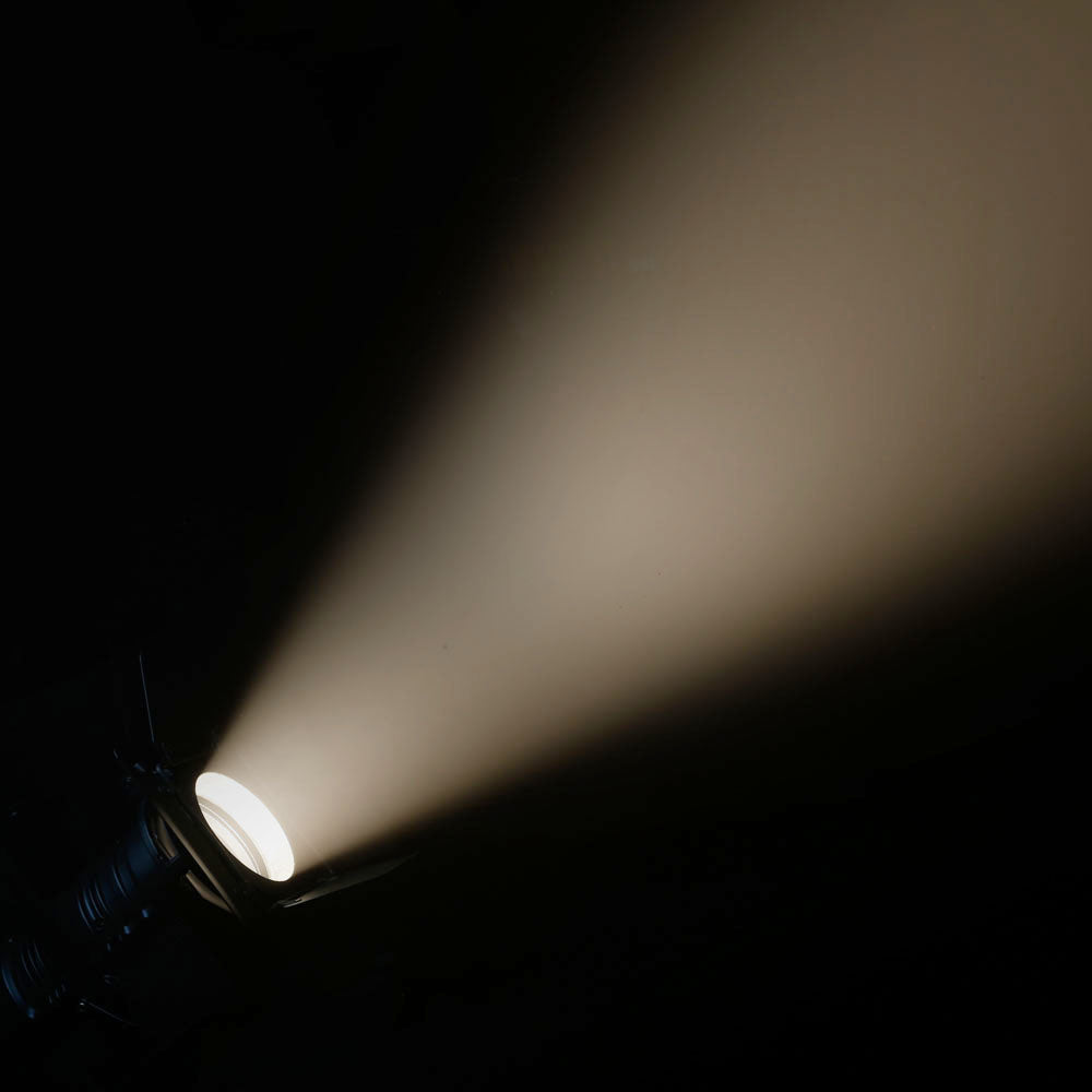 Cameo TS 40 WW Theater Spot (svart)