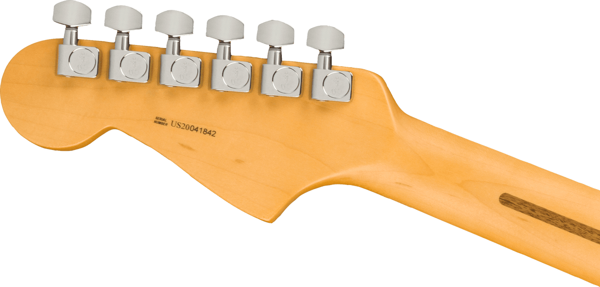 Fender American Professional II Jazzmaster elgitarr (Dark Night)