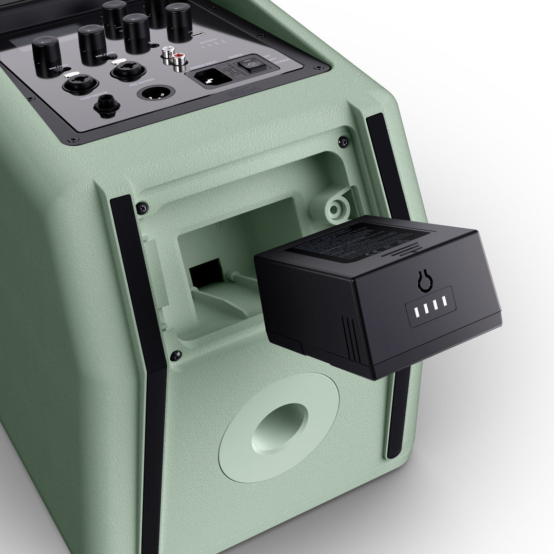 LD Systems ANNY® 8 HHD B6 GN - Portabel batteridriven Bluetooth® PA-högtalare med mixer och 1x trådlös handhållen mikrofon, Adventure Green