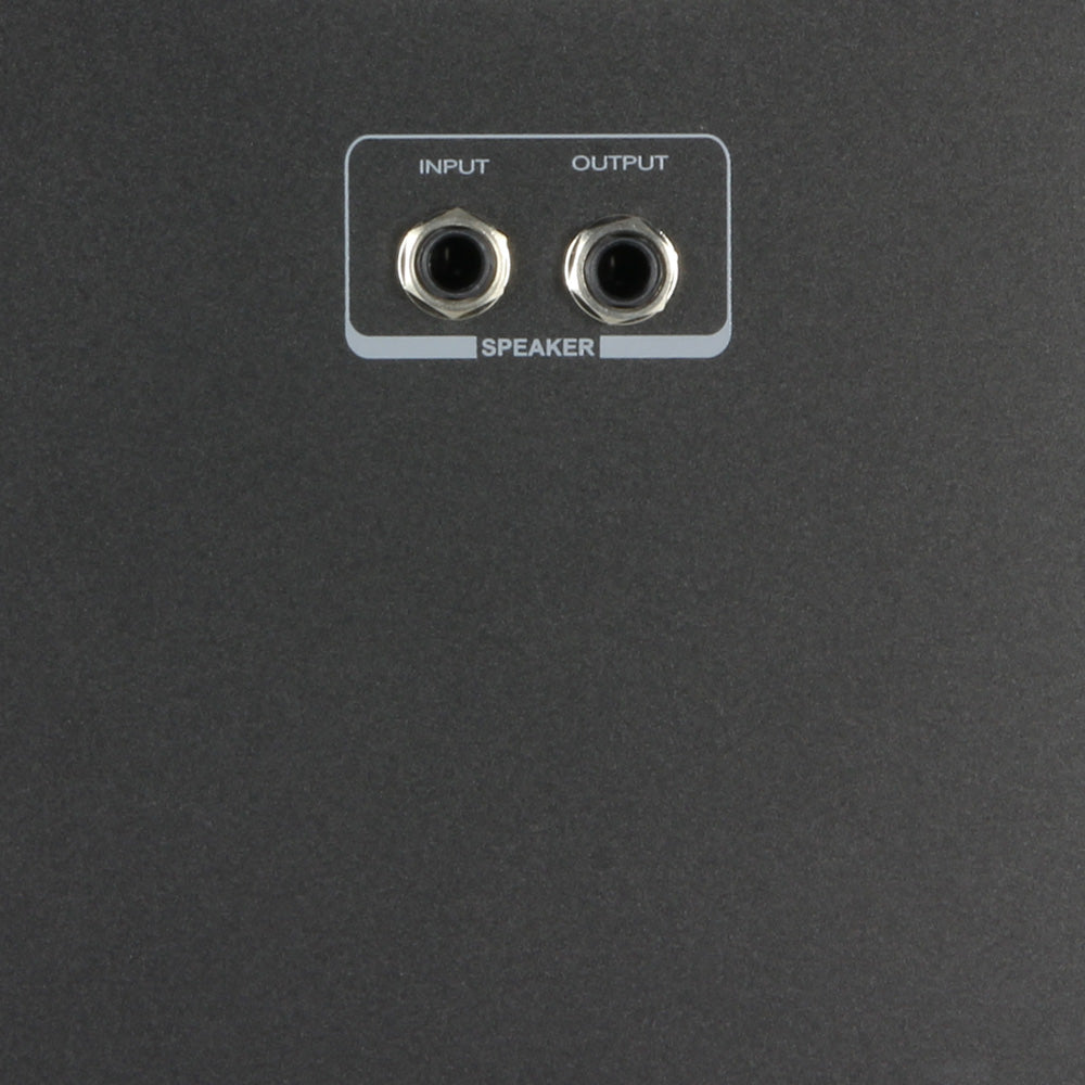 LD Systems Roadman 102 Slave Bärbar Passiv Högtalare