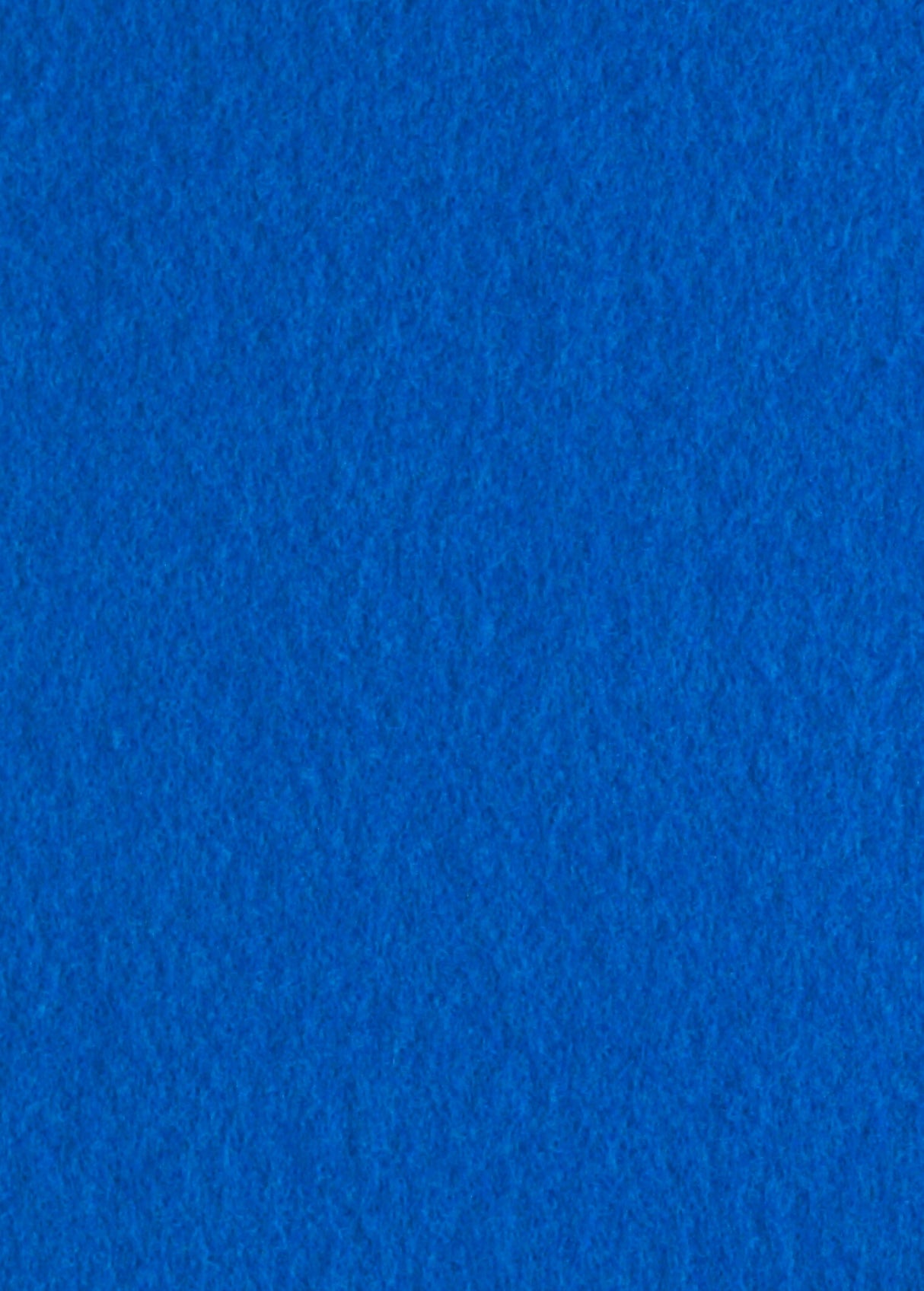 Blue Runner (2 x 50 m)