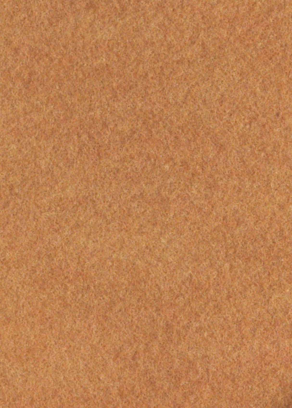 Ljusbrun löpning (2 x 50 m)