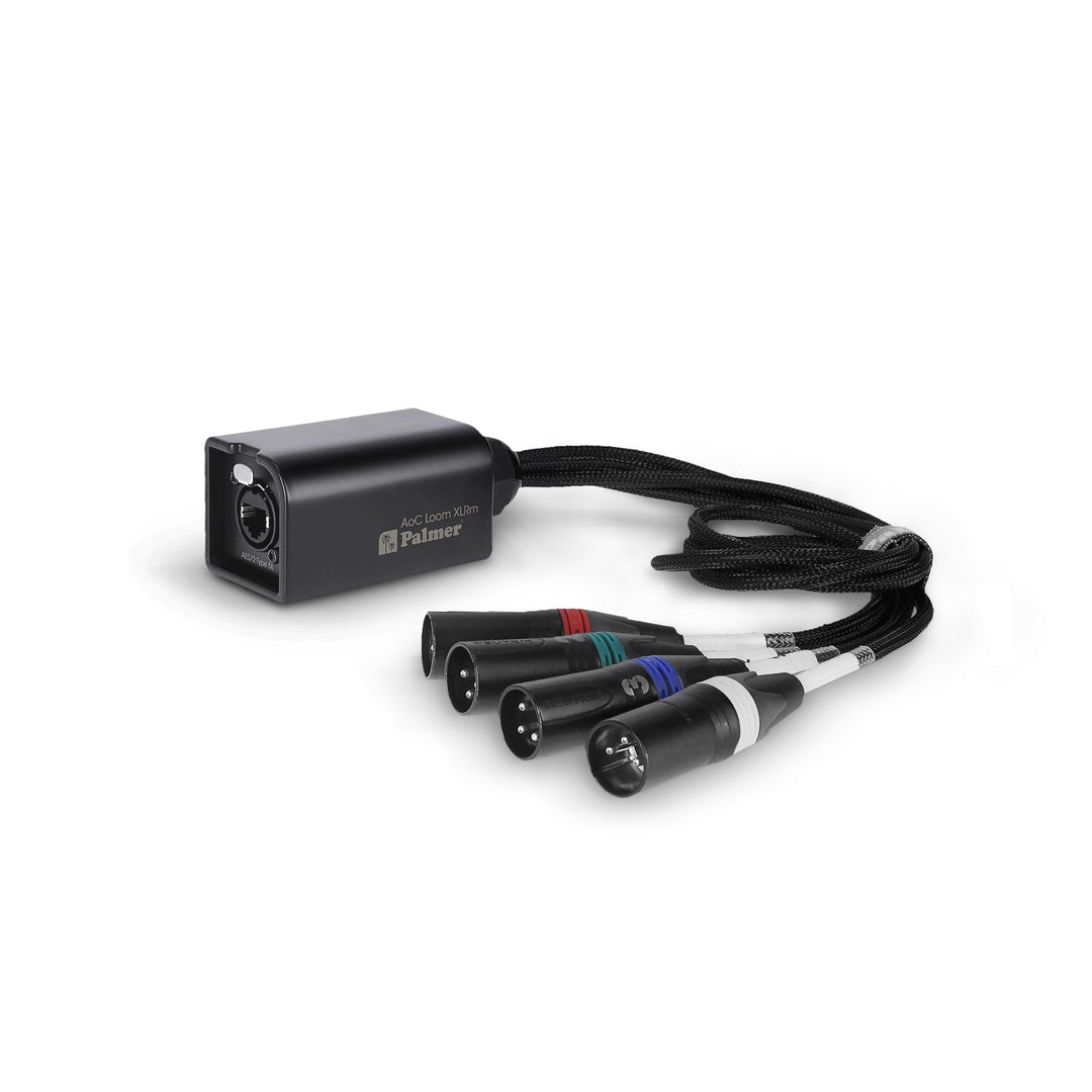 Palmer AoC Loom XLRm - Audio over Cat-kabel från etherCON till 4 x XLR hane