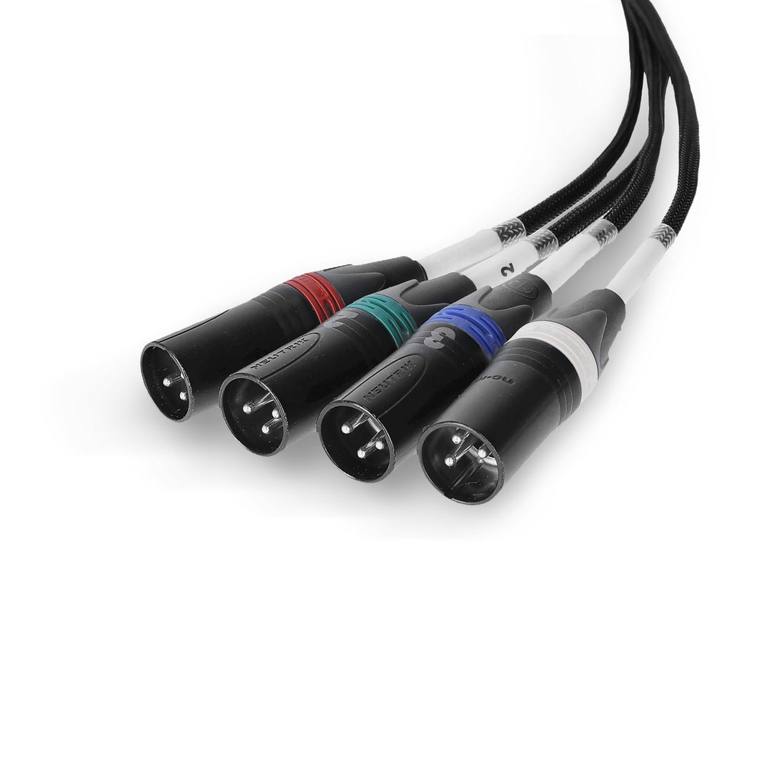 Palmer AoC Loom XLRm - Audio over Cat-kabel från etherCON till 4 x XLR hane
