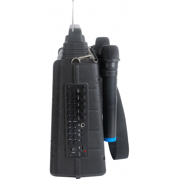 Bärbart karaokesystem med skärm och 2 mikrofoner