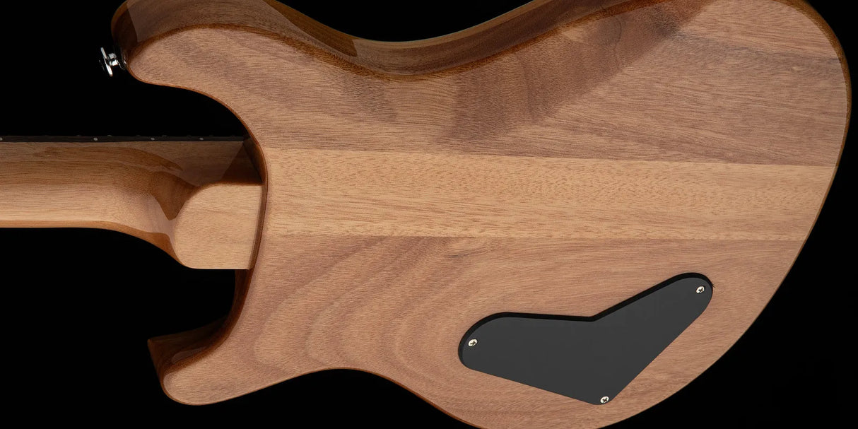 PRS SE "Paul's Guitar" elektrisk gitarr ( Turquoise )