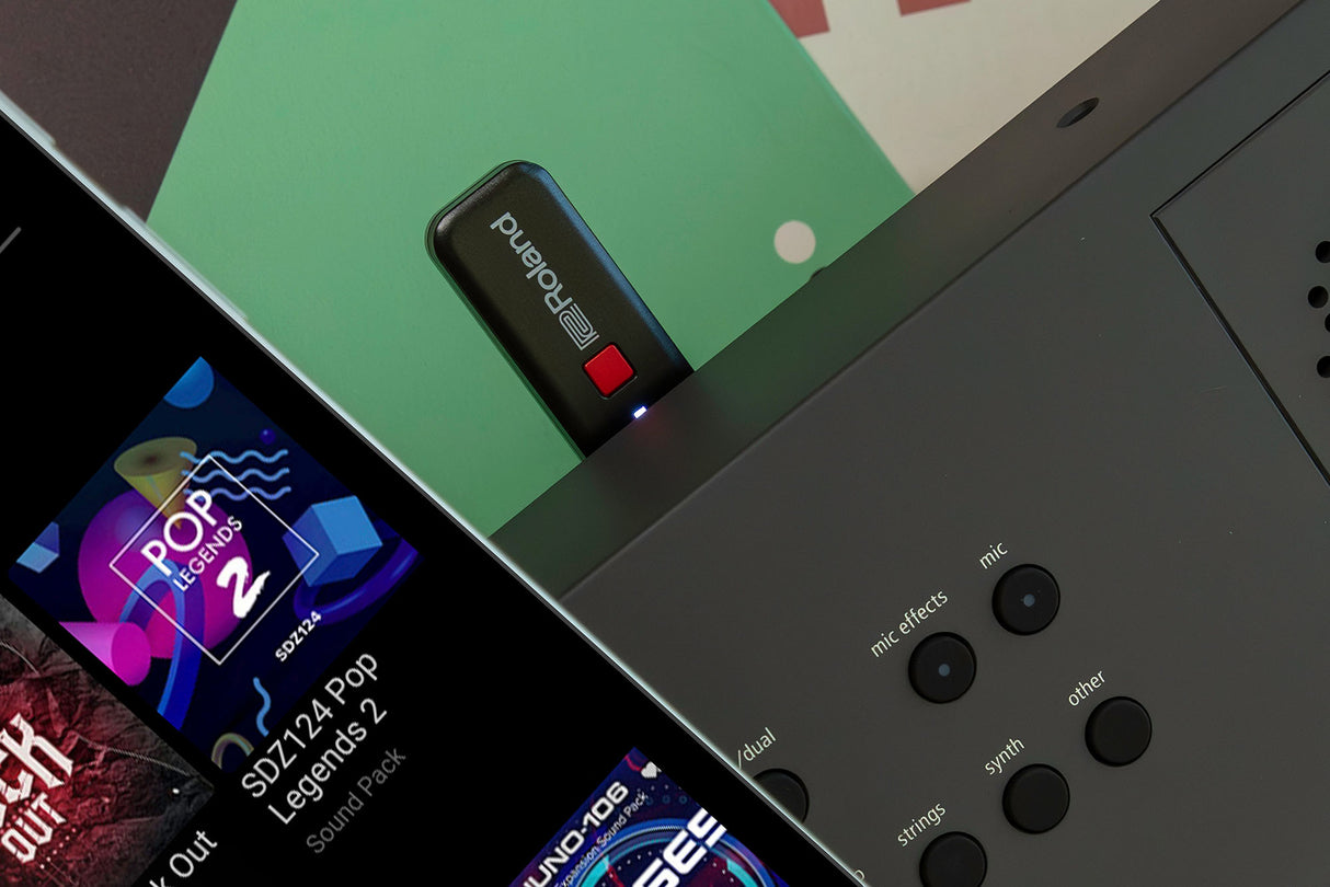 Roland GO:KEYS 5 Keyboard (vit)