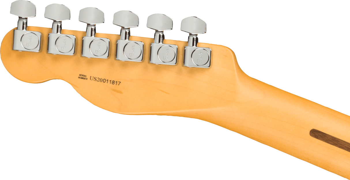 Fender American Professional II Telecaster elgitarr (rostad furu)