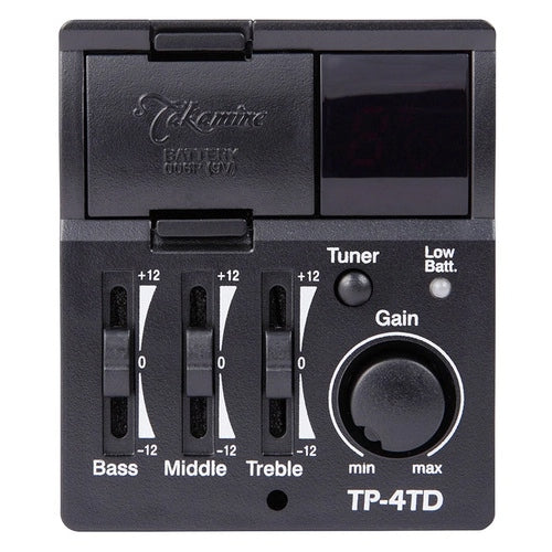 Takamine GD20CE-NS Western gitarr (naturlig)