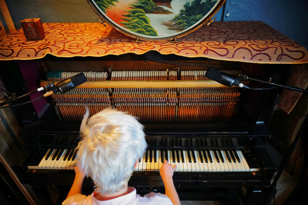 sE Electronics X1S Kondensatorstudiomikrofon