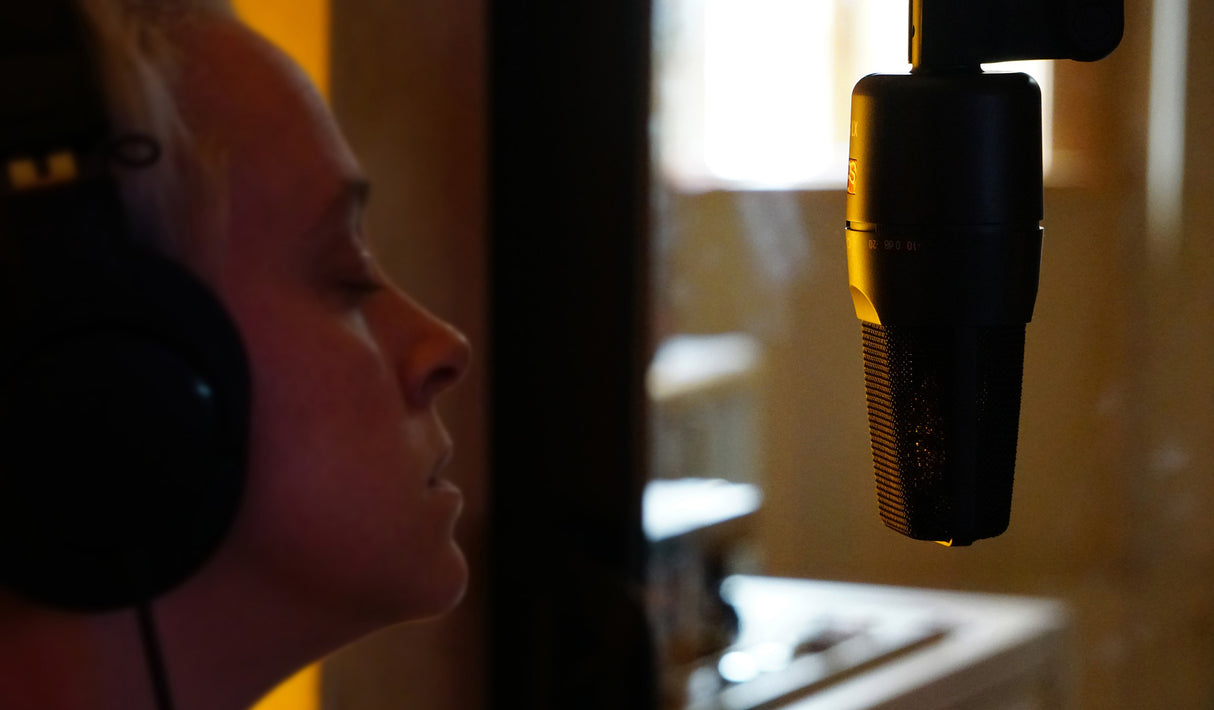 sE Electronics X1S Kondensatorstudiomikrofon