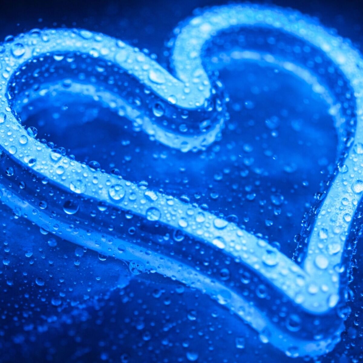 Neon RGB 15m LED Strip