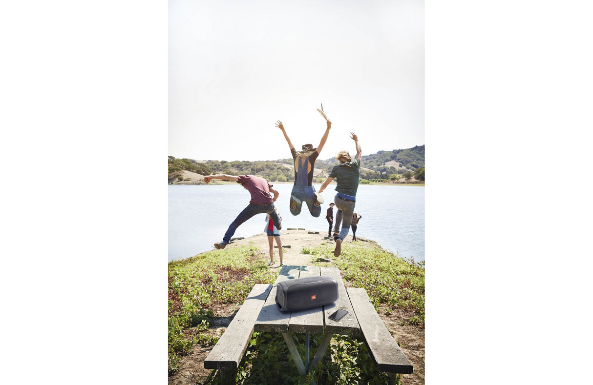 JBL BASS PRO GO Allt-i-ett subwoofer & bärbar högtalare