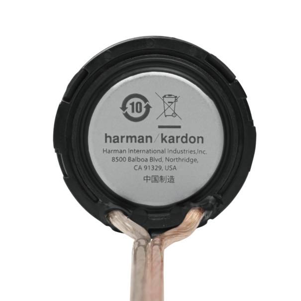 Harman/Kardon Flow 601CFS - Composet - 16,5 cm / 6,5" - 2 x 120 Watt RMS