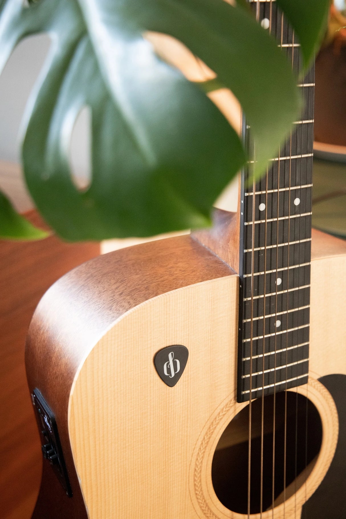 Openhagen StayWithMe Picks (0,88 mm, svart)