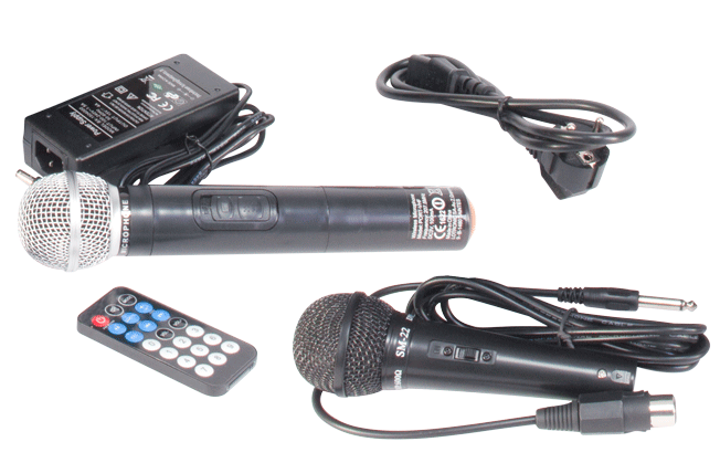 Ibiza BT8HH bärbar festhögtalare