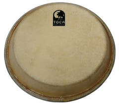 Percussion skinn