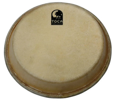 Percussion skind