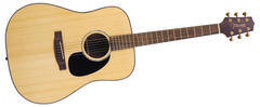 Western gitarr