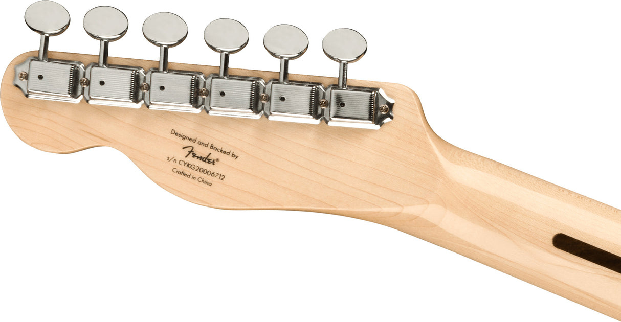 Fender Squier Paranormal Carbonita Telecaster Thinline elgitarr ( Sunburst )