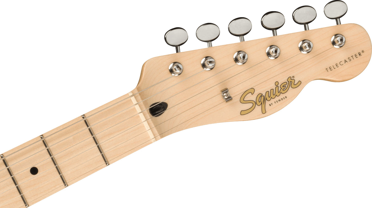 Fender Squier Paranormal Carbonita Telecaster Thinline elgitarr ( Sunburst )