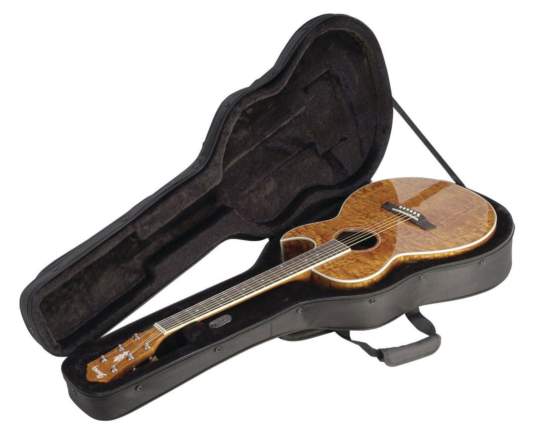 SKB Cases 1SKB-SC30